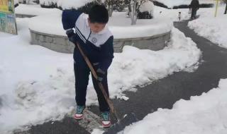 家长开铲车到校扫雪